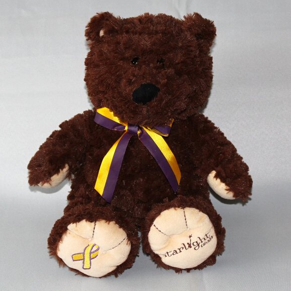 Starlight "Hiya" Bear | Starlight Foundation & Toys "R" Us Vintage 2014 Plush - Picture 1 of 14